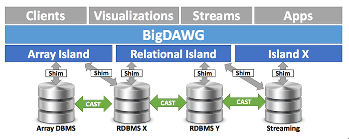 Figure for A Demonstration of the BigDAWG Polystore System